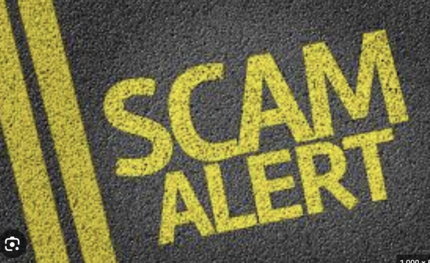 Trader.wise-wealth.net Exposed
